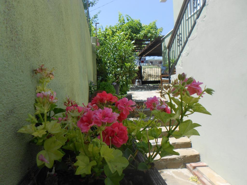 Irmak Family Pension & Apartments Eceabat Pokoj fotografie